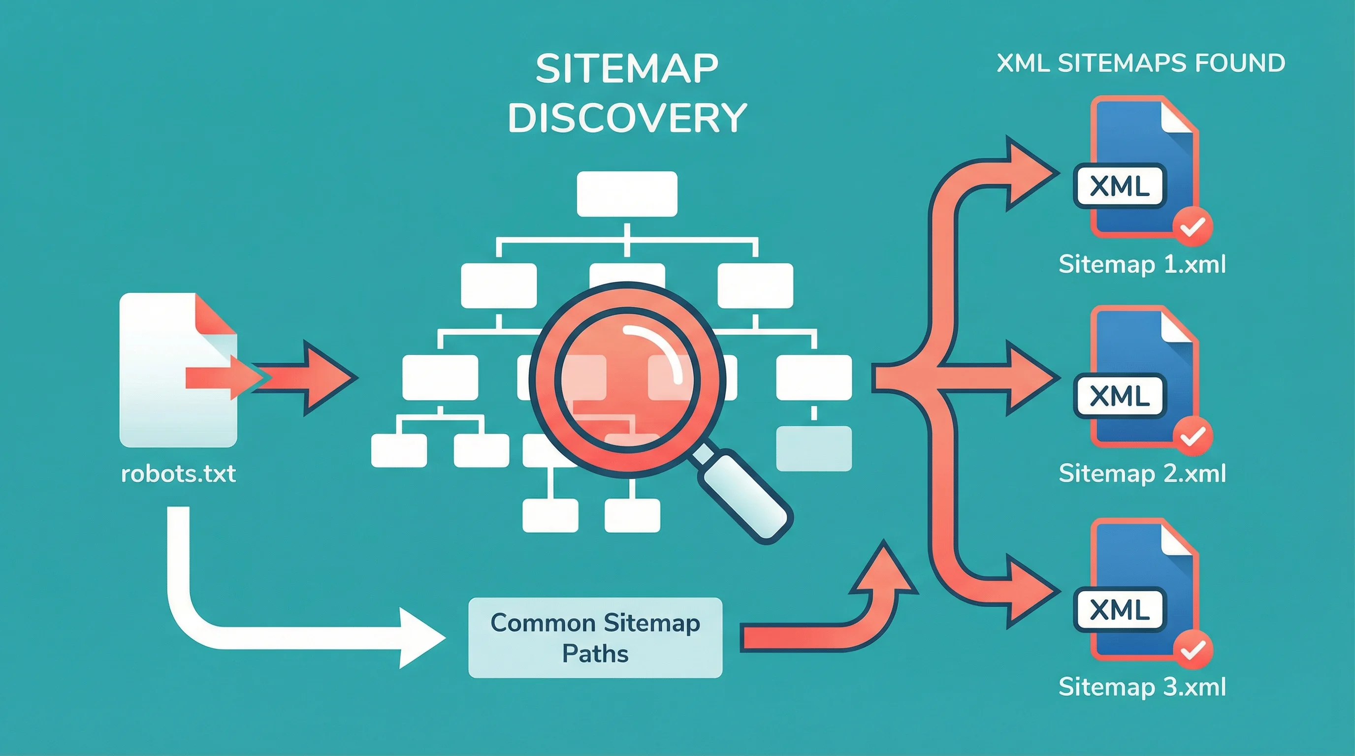 Vector illustration of a magnifying glass scanning a website structure, discovering XML sitemap files from robots.txt and common paths